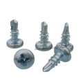 Cabeçote Phillips Self Drilling Screw